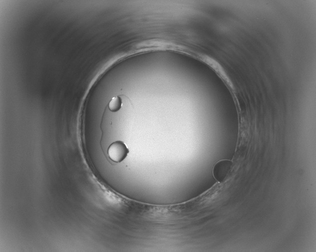 X0000075841098200609151258