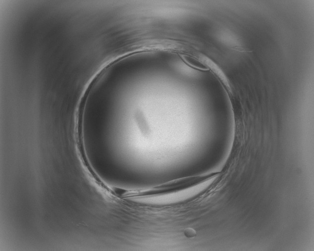 X0000075841099200609151258