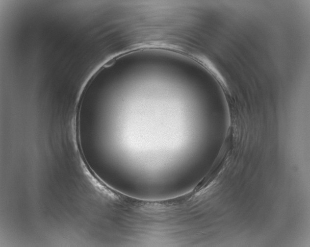 X0000075841100200609151258