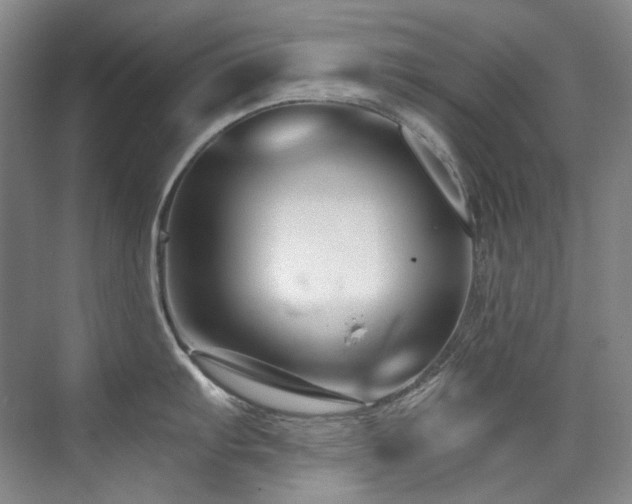 X0000075841103200609151258