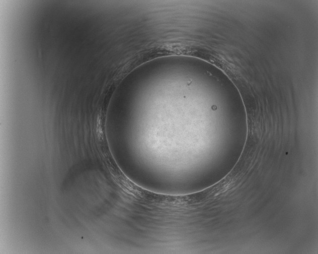 X0000075841106200609151257