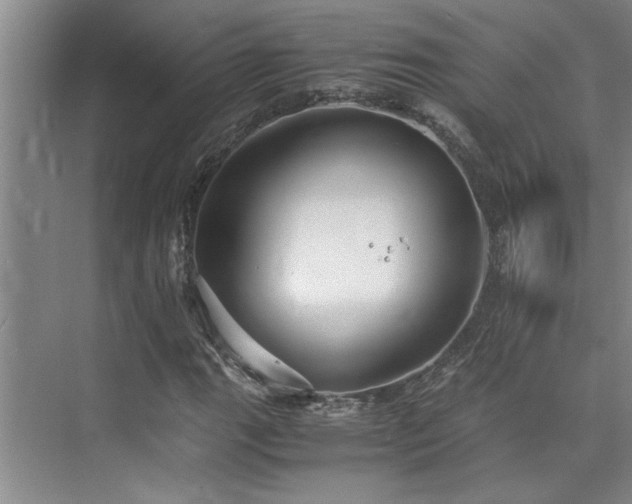 X0000075841111200609151257