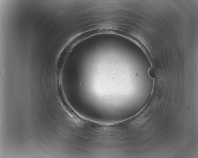 X0000075841115200609151257