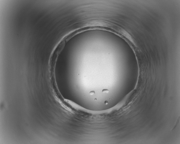 X0000075841116200609151257