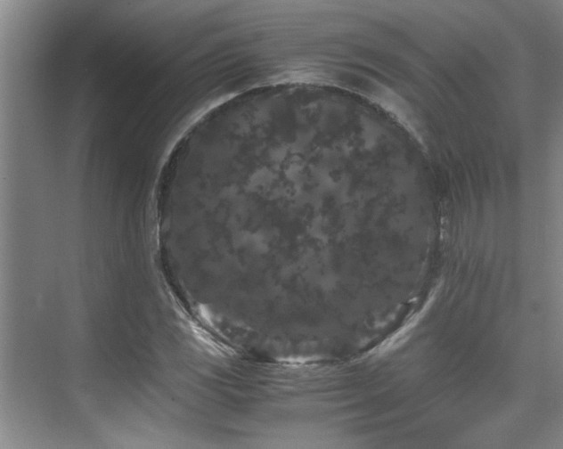 X0000075841117200609151257