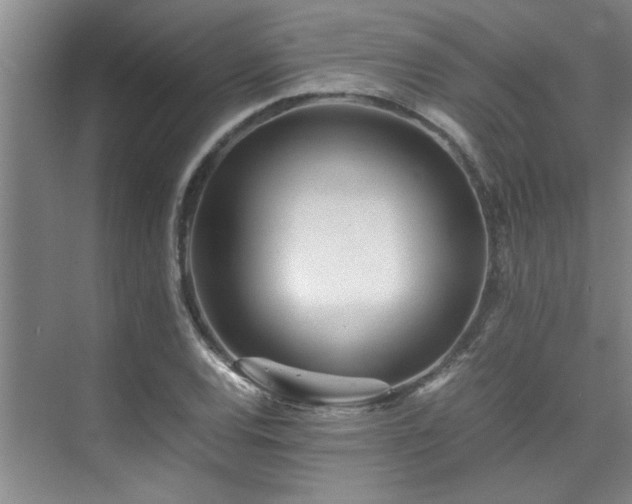 X0000075841120200609151257