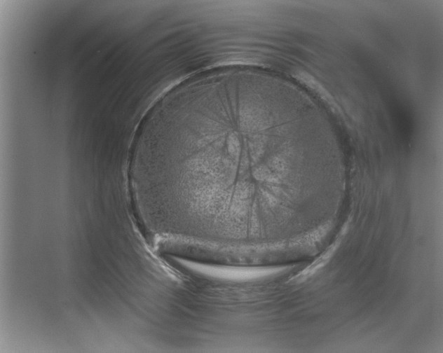 X0000075841121200609151257