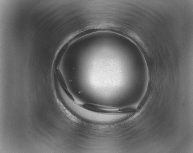 X0000075841122200609151257