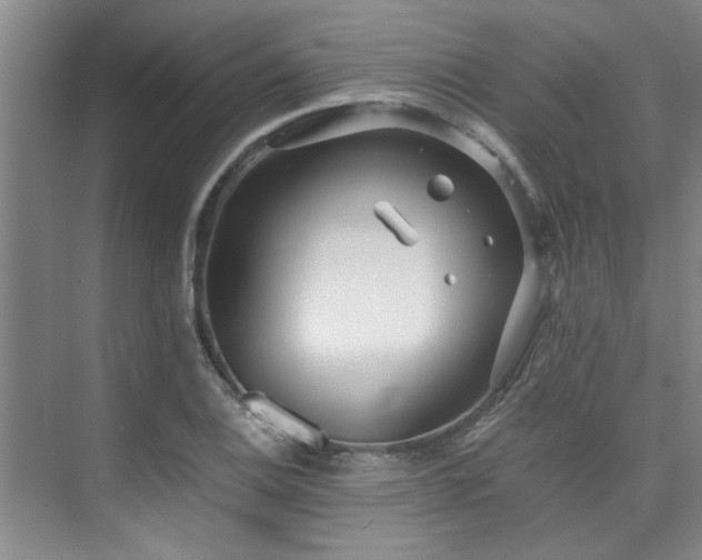 X0000075841124200609151257