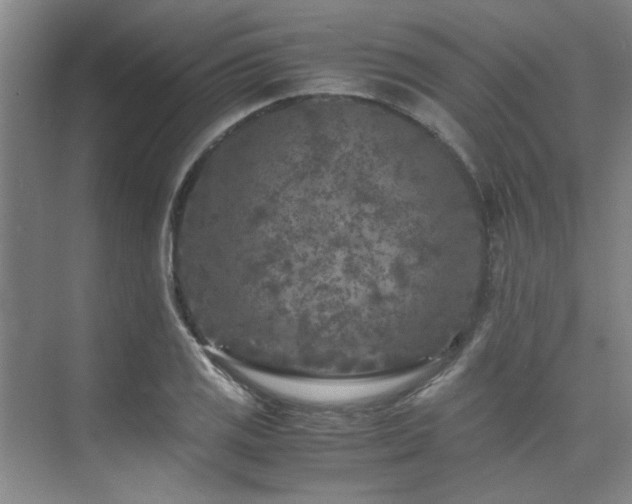 X0000075841125200609151257