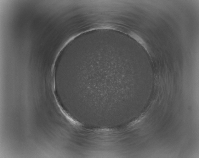 X0000075841127200609151257