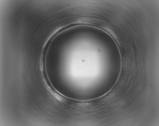 X0000075841131200609151257