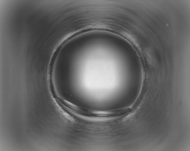 X0000075841133200609151257