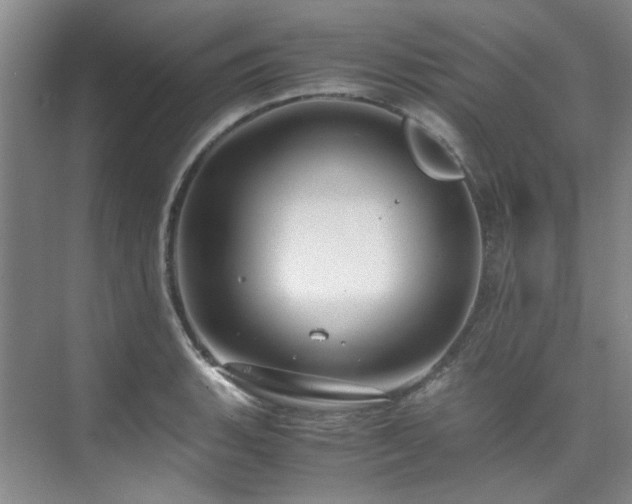 X0000075841135200609151257