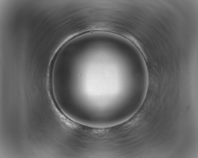 X0000075841147200609151258