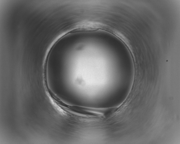 X0000075841152200609151258