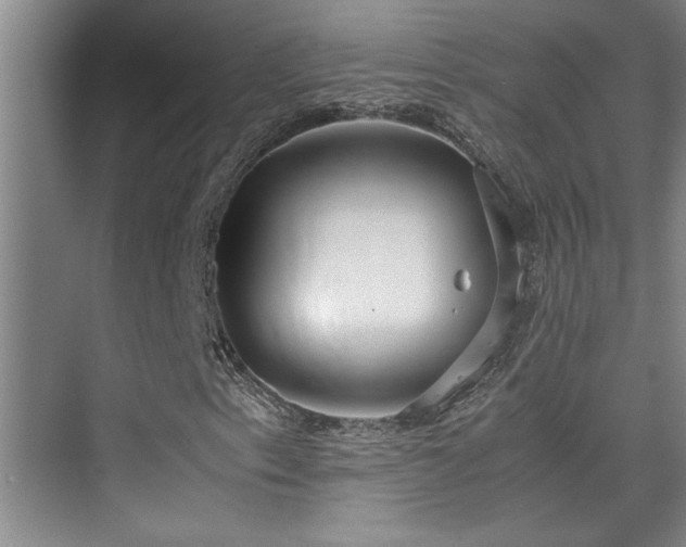 X0000075841153200609151257