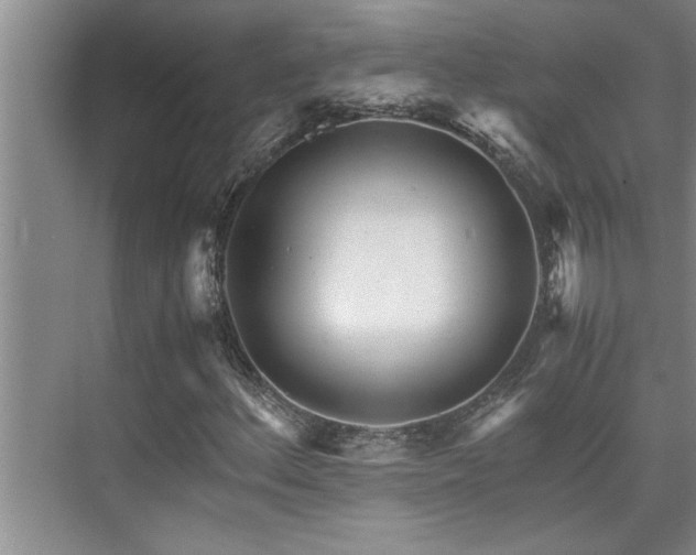 X0000075841156200609151257