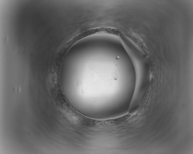 X0000075841159200609151257