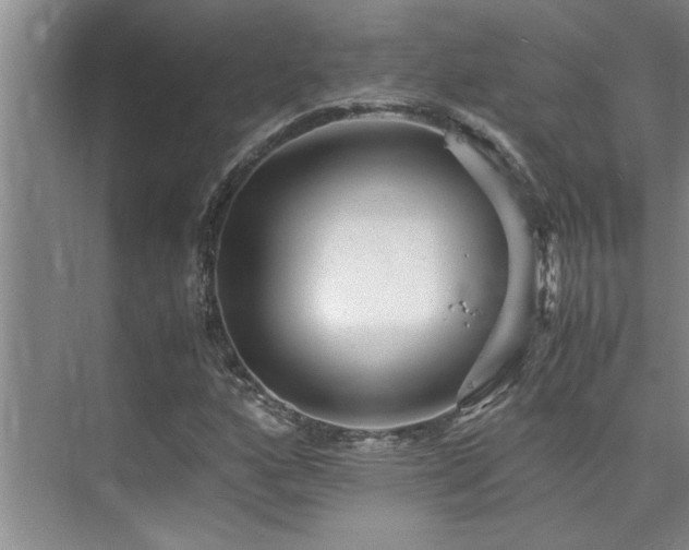 X0000075841160200609151257