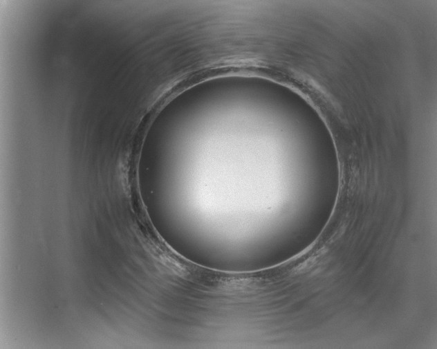 X0000075841162200609151257