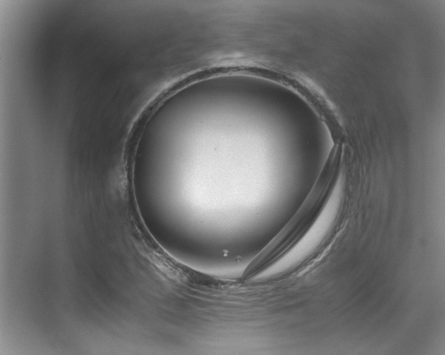 X0000075841167200609151257