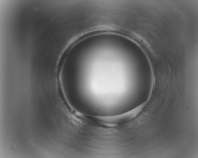 X0000075841168200609151257