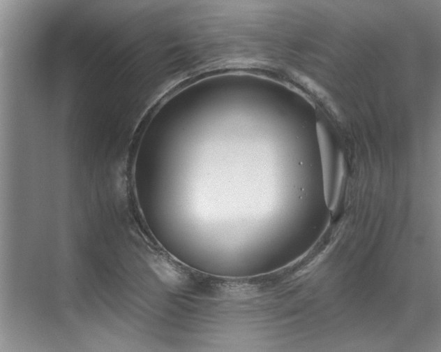 X0000075841170200609151257