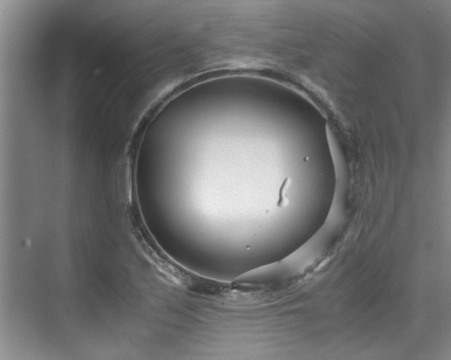 X0000075841171200609151257