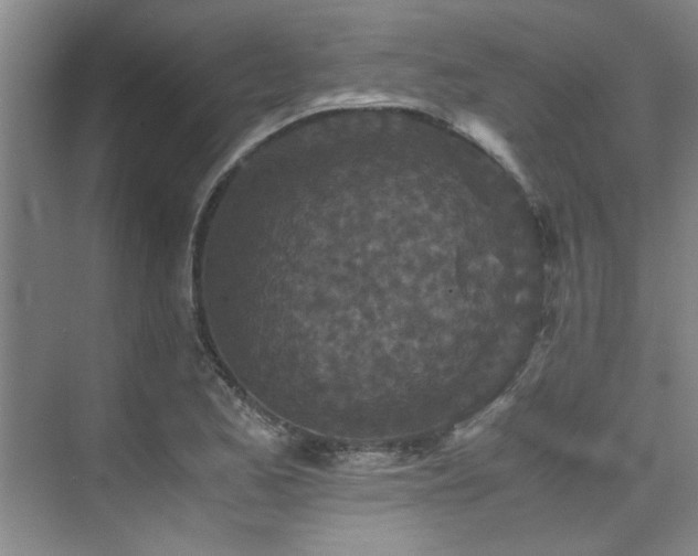 X0000075841173200609151257