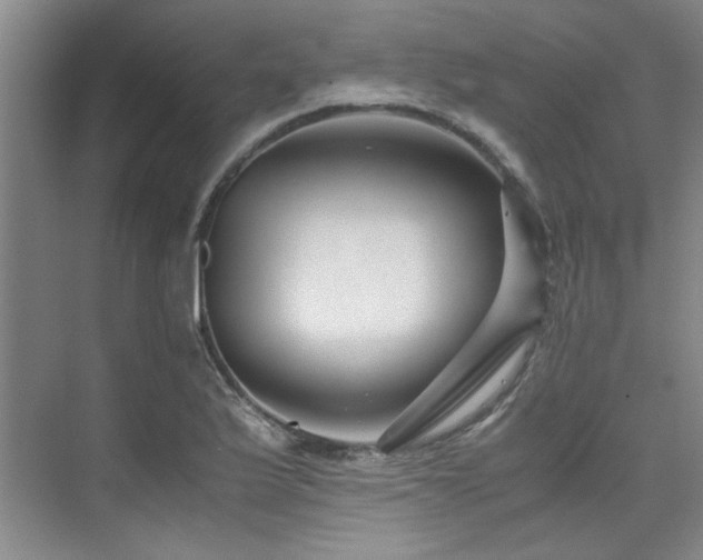 X0000075841175200609151257