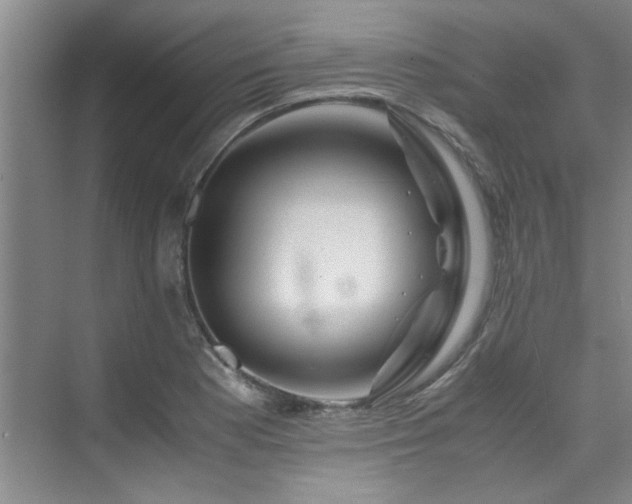 X0000075841177200609151257