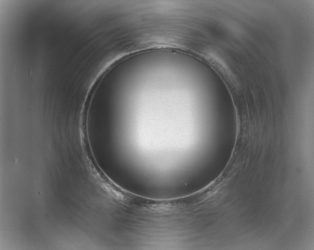 X0000075841182200609151256