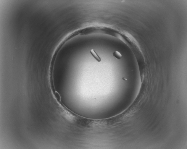 X0000075841183200609151256