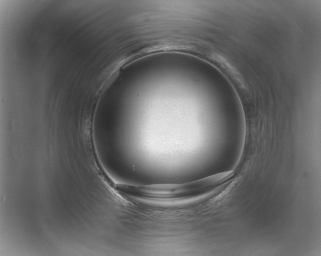 X0000075841185200609151256