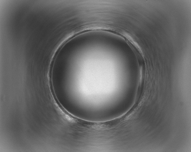 X0000075841189200609151256