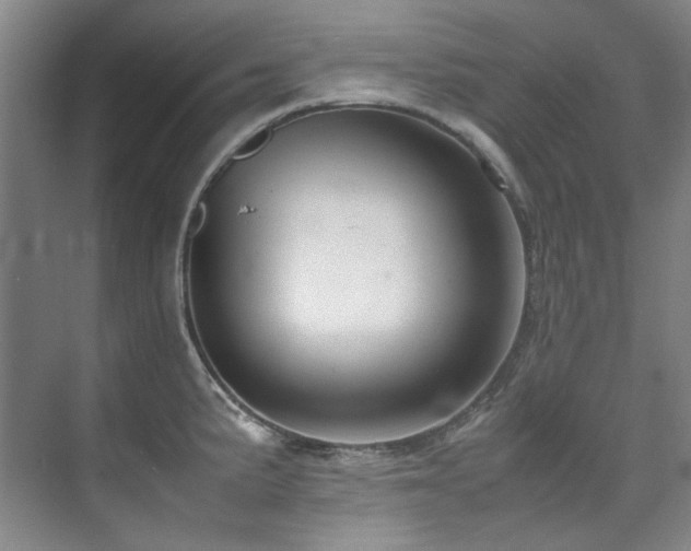 X0000075841191200609151256