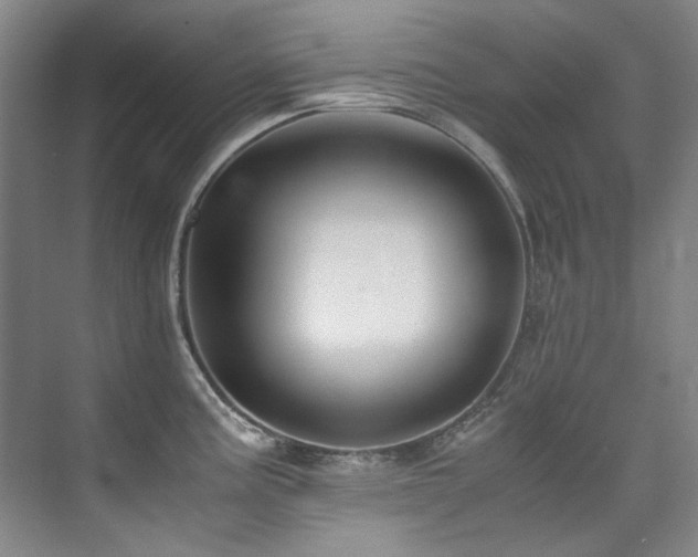 X0000075841195200609151256