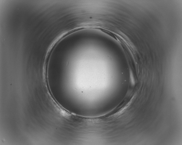 X0000075841196200609151256