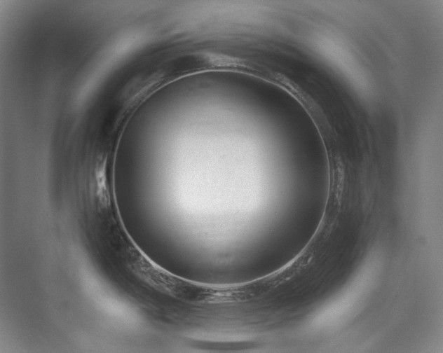 X0000075841198200609151256