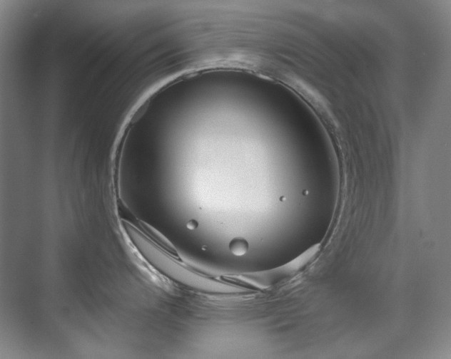 X0000075841200200609151256