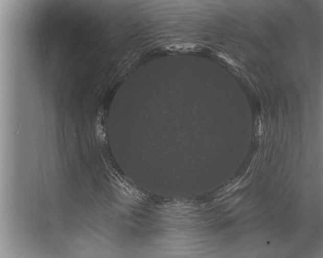 X0000075841202200609151255