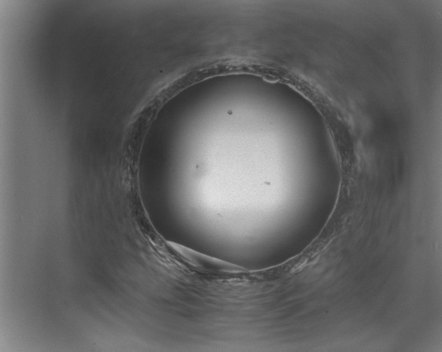 X0000075841207200609151255