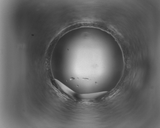 X0000075841208200609151255