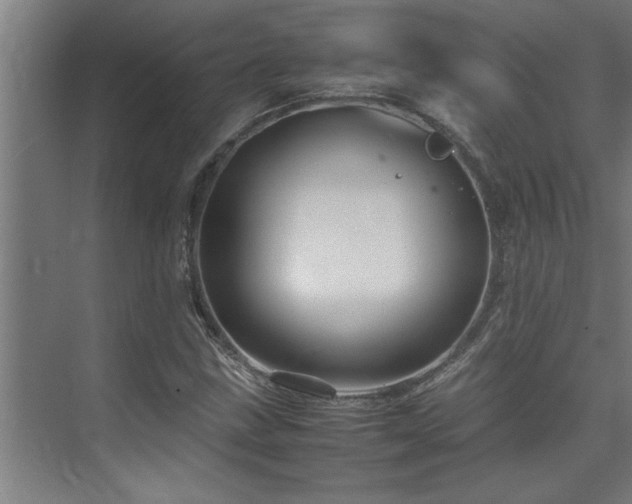 X0000075841211200609151255