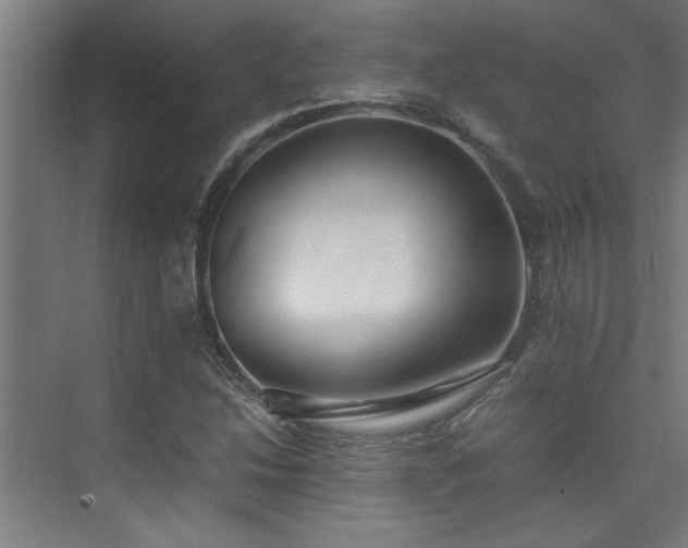 X0000075841214200609151256