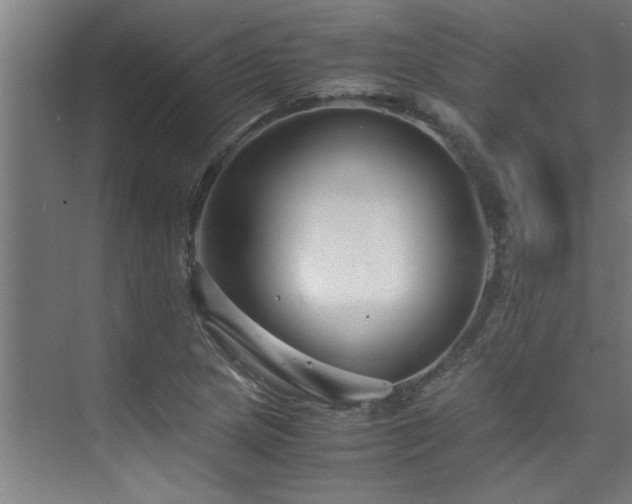 X0000075841217200609151256