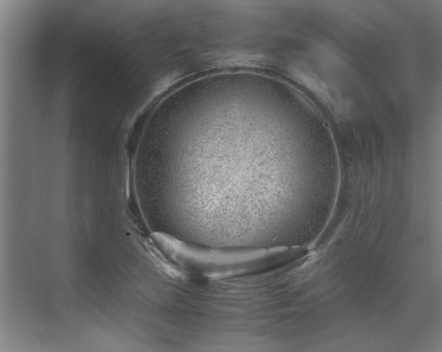 X0000075841219200609151256