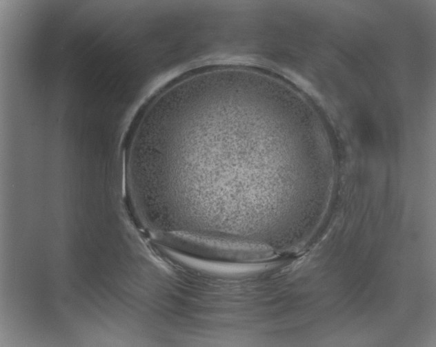 X0000075841223200609151256