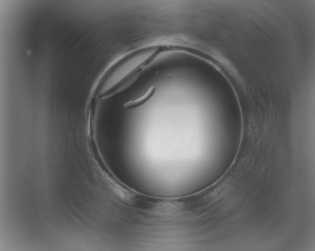 X0000075841224200609151256